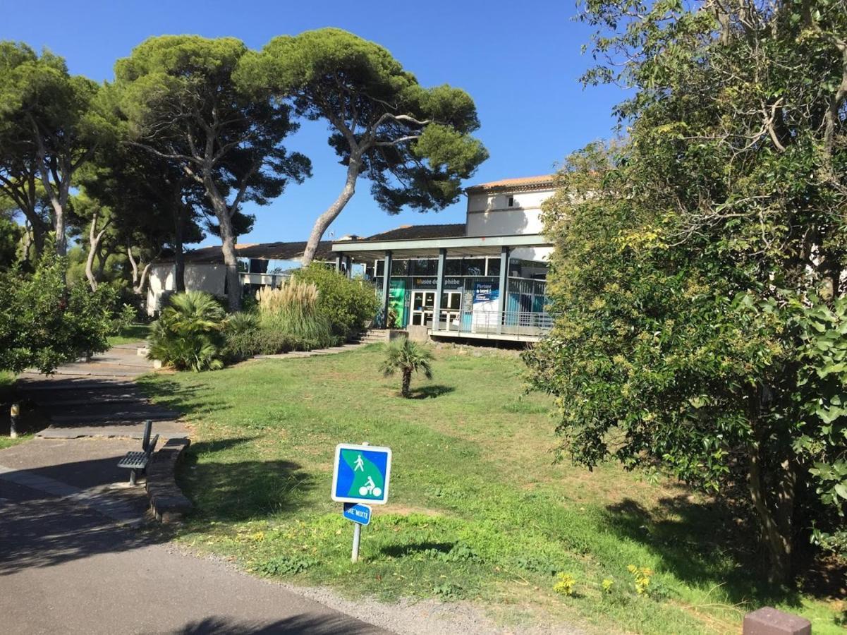 Studio Cosy Au Centre Port Du Cap D'אגדה מראה חיצוני תמונה